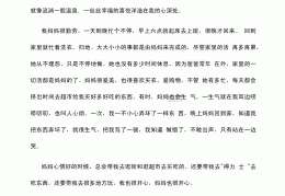 人物传记母亲800字(人物传记母亲800字作文初二)