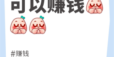 可以在网上赚钱的职业叫什么(可以在网上赚钱的职业叫什么名字)