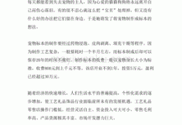 万元小投资(投资万元做什么小吃)