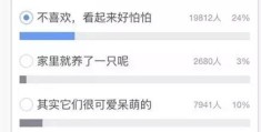 头条号怎么发合集文章(今日头条怎么发合集视频)