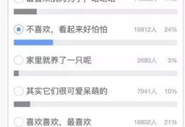 头条号怎么发合集文章(今日头条怎么发合集视频)