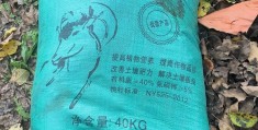 小型养殖创业好项目(小型养殖业什么最赚钱)