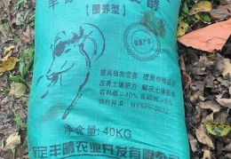 小型养殖创业好项目(小型养殖业什么最赚钱)