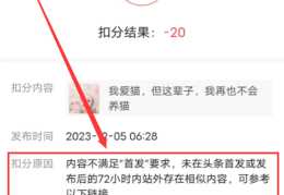 头条做什么赚钱多呢(头条做什么领域比较火)