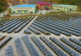 我带家乡科技致富小说(我带家乡科技致富小说下载)