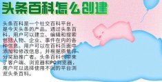 头条是什么时候创立的(头条是什么时候创立的呢)