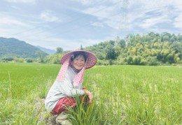 有没有适合50多岁女人的工作(有适合50岁左右女性做的工作吗!)