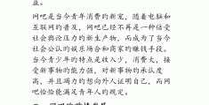 网吧创业项目概述总结范文(网吧创业项目概述总结范文大全)