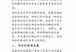 网吧创业项目概述总结范文(网吧创业项目概述总结范文大全)