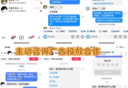 互联网生意加盟骗局(互联网代理加盟好项目)