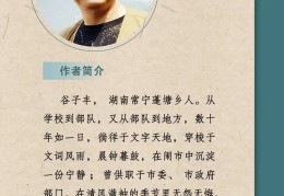 今日头条陈晨简介图片大全(今日头条陈琳简历个人资料简介)
