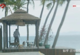 今日头条冷眼儿(今日头条你关心的,才是头条)