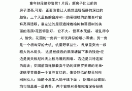 《童年》人物描写摘抄大全75字及理由(童年人物描写摘抄大全75字及理由作文)