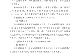 “中国互联网十大学生创新创业大赛”的简单介绍