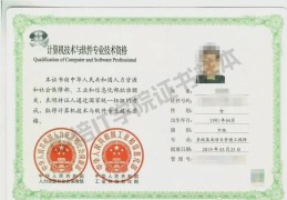 信息系统项目管理证书含金量高不高(信息系统项目管理证书含金量高不高呀)
