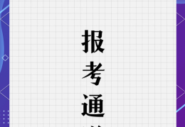 国际项目管理师(国际项目管理师是做什么的)