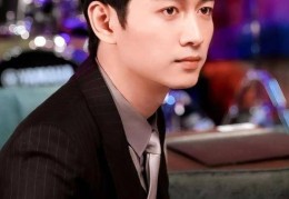 陈晓2017(陈晓2017电视剧)