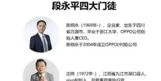 段永平智商(段永平是谁呀)