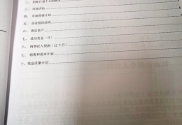 创业计划书模板范文奶茶店(创业计划书怎么写范文大全奶茶店类)