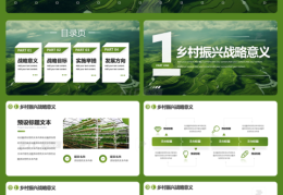 乡村振兴项目设计方案(乡村振兴项目设计思路与创新点)
