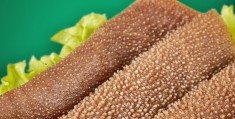 四川冻品(四川冻品批发平台app)