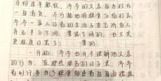 高中人物传记作文素材积累800字(高中人物传记作文素材积累800字左右)