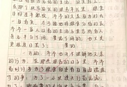 高中人物传记作文素材积累800字(高中人物传记作文素材积累800字左右)