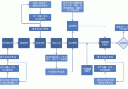 国家重大项目立项流程图(国家重大项目立项流程图片)