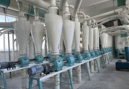 2020致富加工新项目(2020致富加工新项目开工)