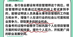 项目管理师报考网站(2021年项目管理师报名)