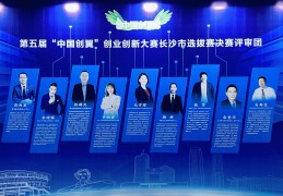 2021创业新项目(2021年最新创业项目有哪些)
