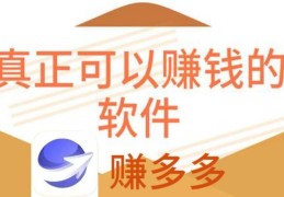 网上可以赚钱的工作有哪些(网上赚钱的工作有哪些 知乎)