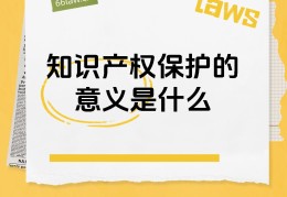 浅析互联网的知识产权的保护(浅析互联网的知识产权的保护与发展)