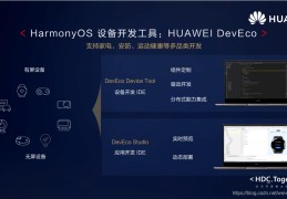 2020最火的互联网项目(2020最火的互联网项目是什么)