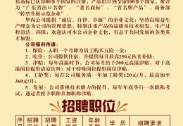 好用的招聘网站排名(比较好的招聘网站有哪些)