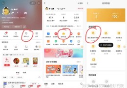 头条创作计划(头条创作计划打卡怎么弄)