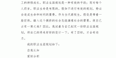 大学生其他规划项目(大学生项目计划书范文案例)