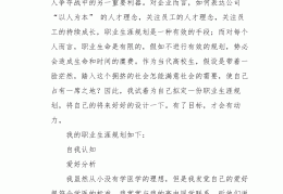 大学生其他规划项目(大学生项目计划书范文案例)