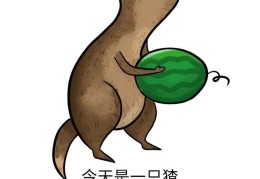 头条吃瓜(头条吃瓜网名大全)