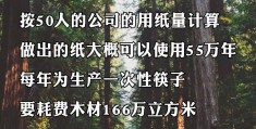 办筷子厂一年能赚多少钱(办筷子厂一年能赚多少钱啊)