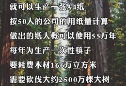 办筷子厂一年能赚多少钱(办筷子厂一年能赚多少钱啊)
