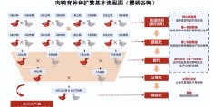 今日头条控股股东构成(今日头条控股股东和实际控制人)