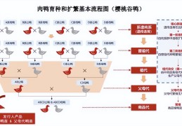 今日头条控股股东构成(今日头条控股股东和实际控制人)