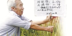 东莞陈志坚视频(东莞陈志明的个人资料)