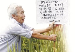 东莞陈志坚视频(东莞陈志明的个人资料)