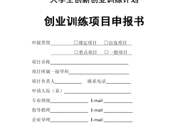 大学生电商创业项目可以写什么项目(大学生电商创业项目可以写什么项目名称)