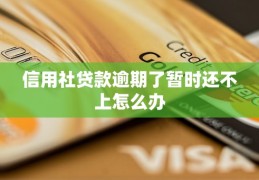 创业贷款有逾期(创业贷款有逾期可以贷吗)