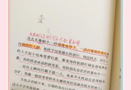 人物描写批注怎么写(描写人物的段落并批注)