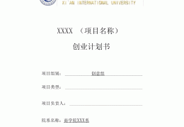 互联网产品创业计划书(互联网创业计划书模板案例)