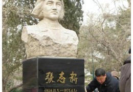 聊城张志新(张志刚聊城组织部照片)